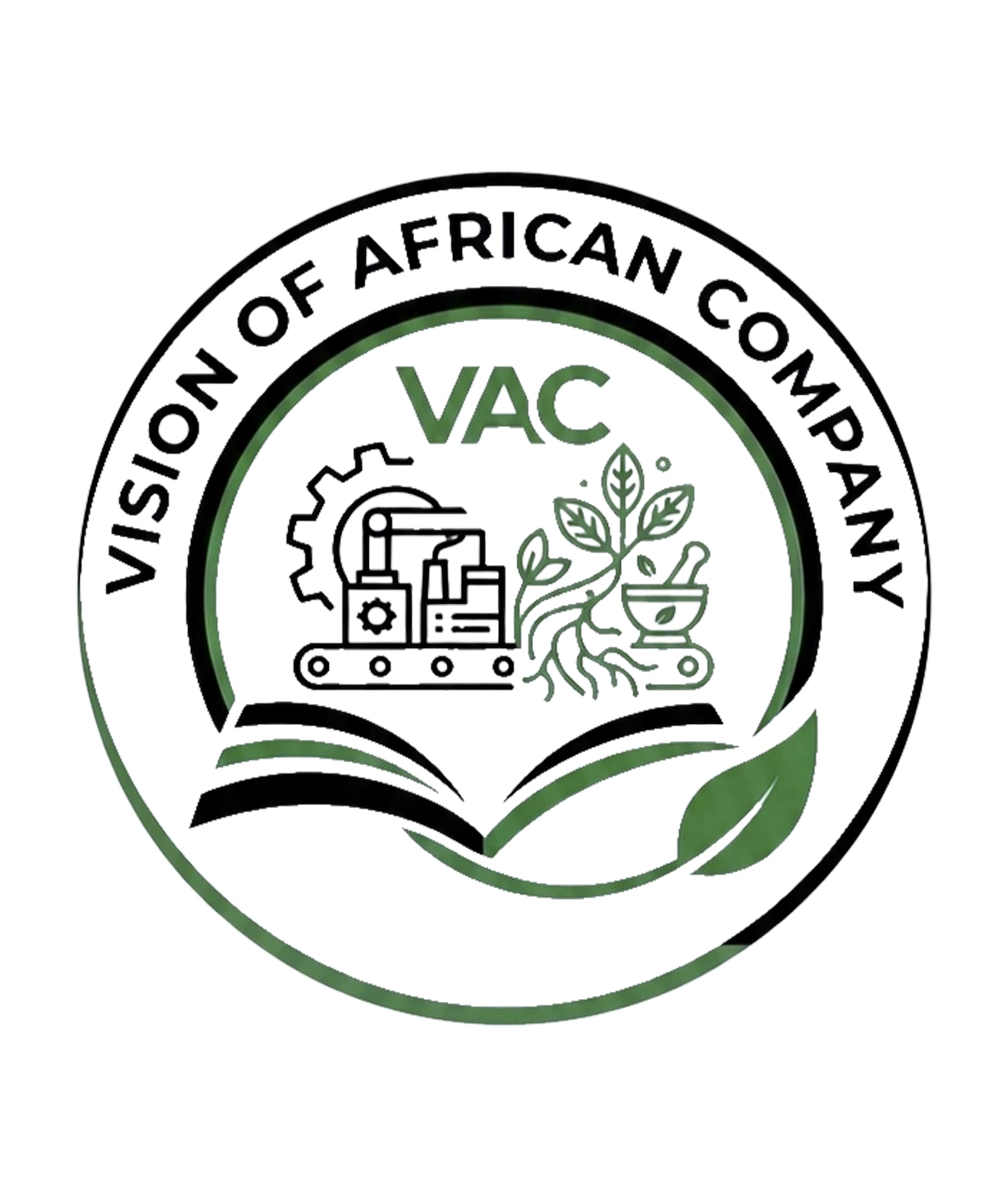 Logo Vision Of African Company